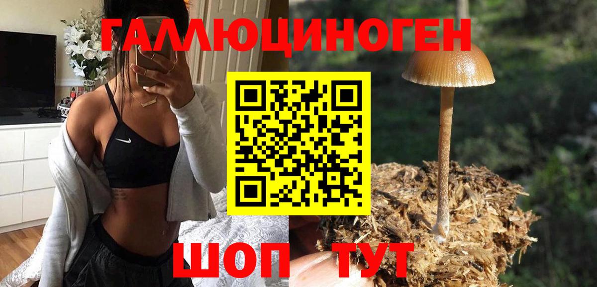 Псилоцибиновые грибы GOLDEN TEACHER Красноармейск