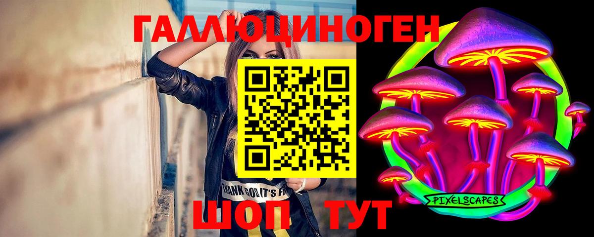 Псилоцибиновые грибы мицелий  Вход с VPN  Красноармейск 