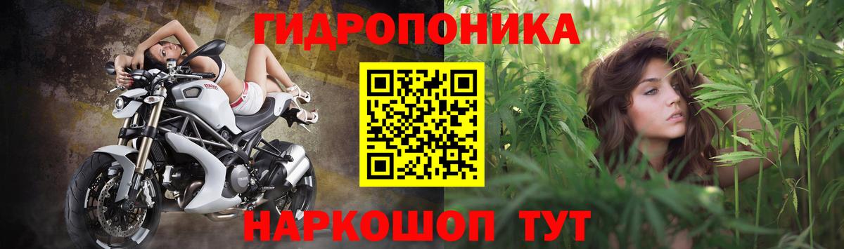 Шишки марихуана семена  Бошки Шишки планчик  Красноармейск  Вход с VPN  МАРИХУАНА AK-47 